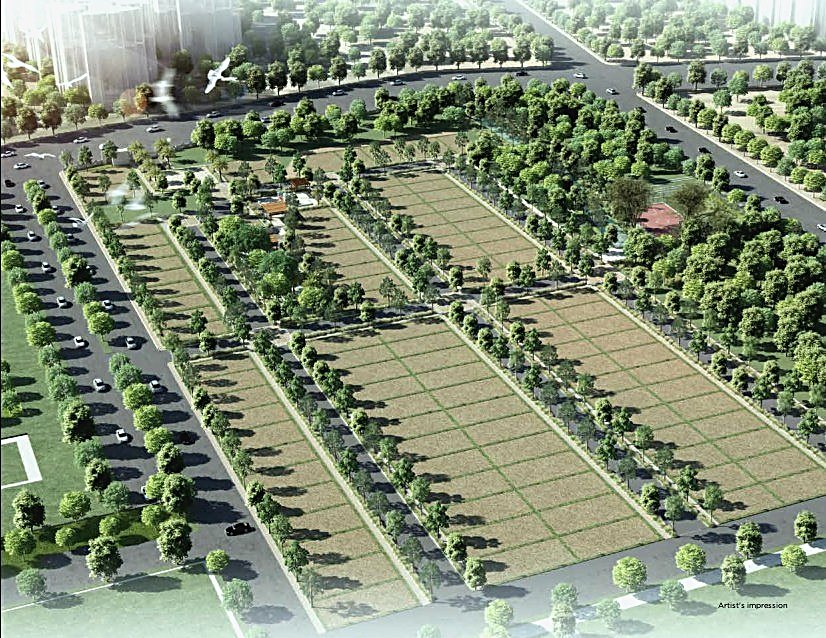Artist's impression of avenues and ready plots